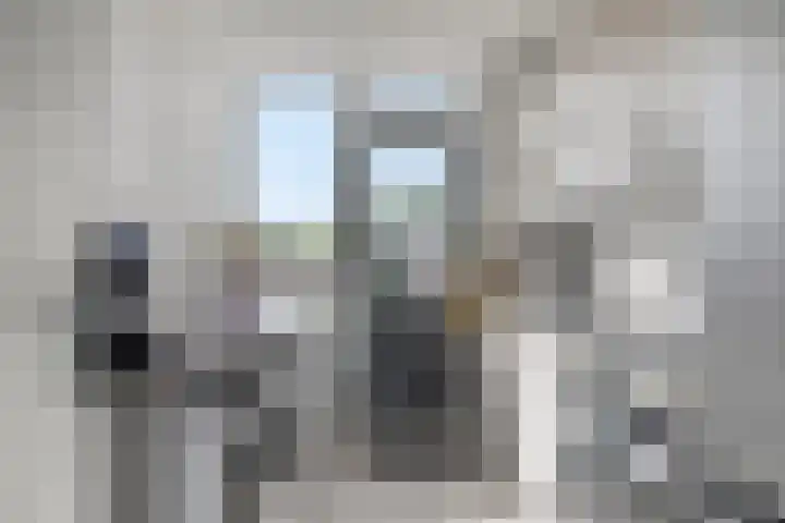 Nieuwe Steeg 49 Herwijnen thumbnail 14