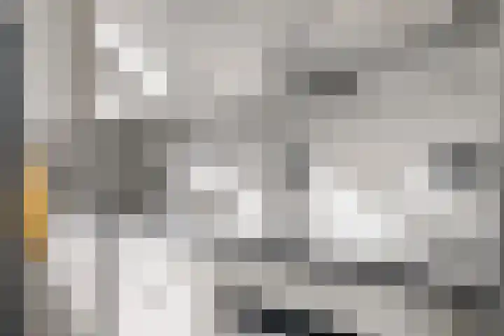 Nieuwe Steeg 49 Herwijnen thumbnail 15