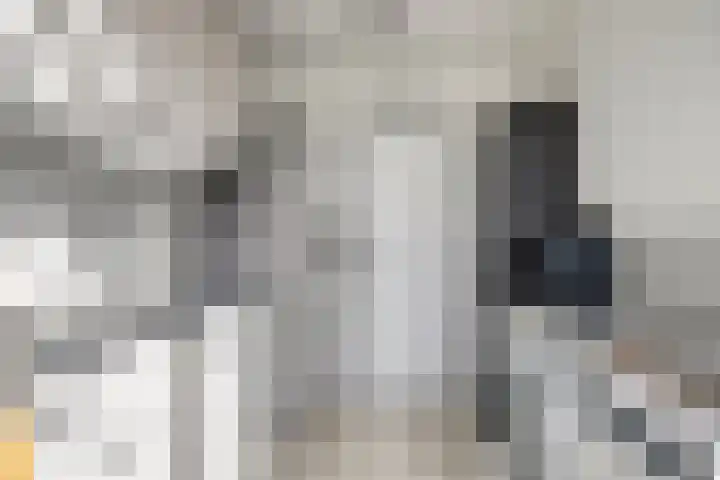 Nieuwe Steeg 49 Herwijnen thumbnail 16