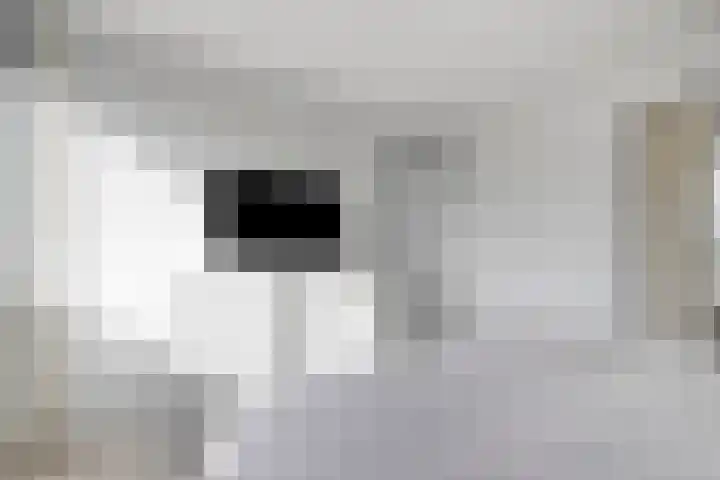 Nieuwe Steeg 49 Herwijnen thumbnail 19