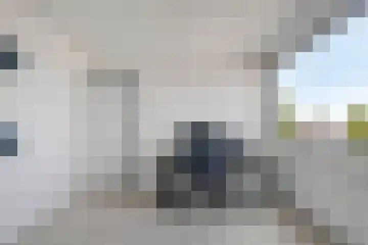 Nieuwe Steeg 49 Herwijnen thumbnail 24