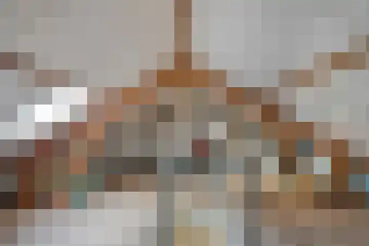 Nieuwe Steeg 49 Herwijnen thumbnail 27