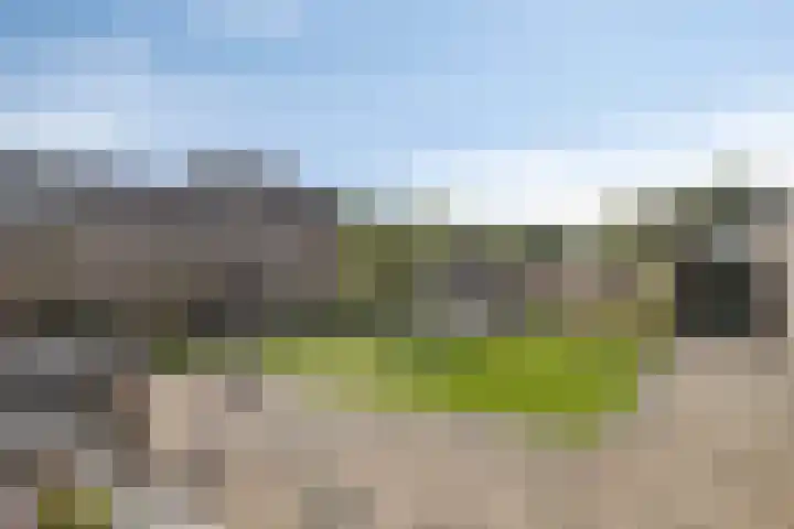 Nieuwe Steeg 49 Herwijnen thumbnail 28