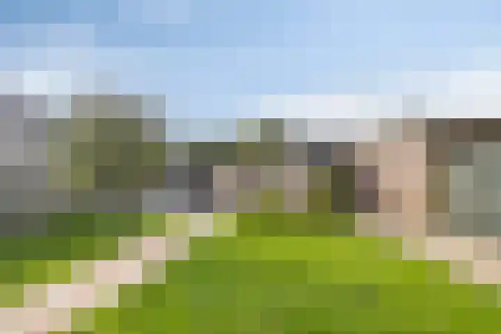 Nieuwe Steeg 49 Herwijnen thumbnail 29