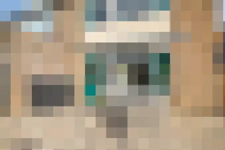Nieuwe Steeg 49 Herwijnen thumbnail 32
