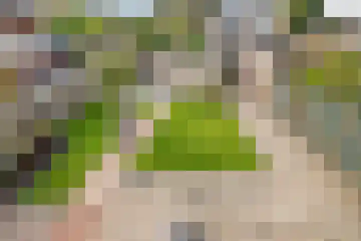 Nieuwe Steeg 49 Herwijnen thumbnail 33