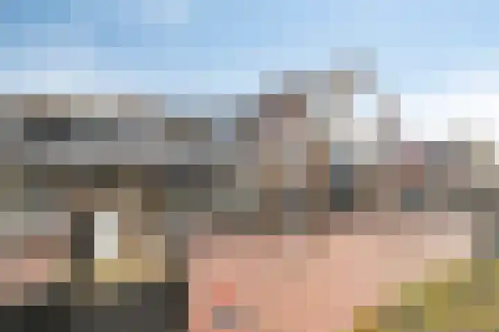 Nieuwe Steeg 49 Herwijnen thumbnail 34