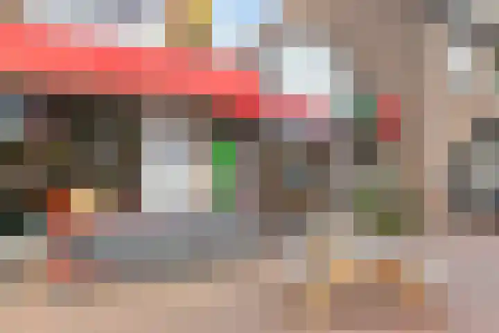 Nieuwe Steeg 49 Herwijnen thumbnail 35