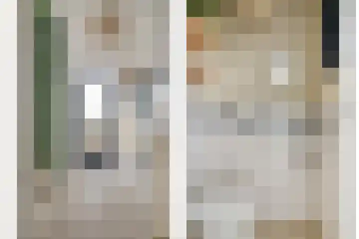 Nieuwe Steeg 49 Herwijnen thumbnail 4