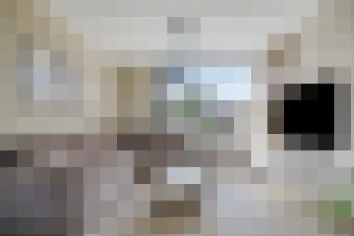 Nieuwe Steeg 49 Herwijnen thumbnail 6