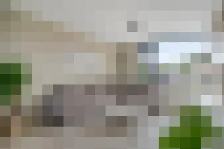 Nieuwe Steeg 49 Herwijnen thumbnail 7