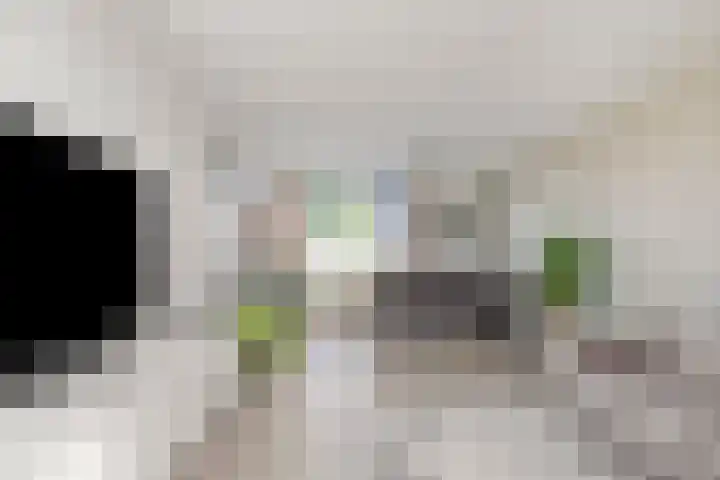 Nieuwe Steeg 49 Herwijnen thumbnail 9