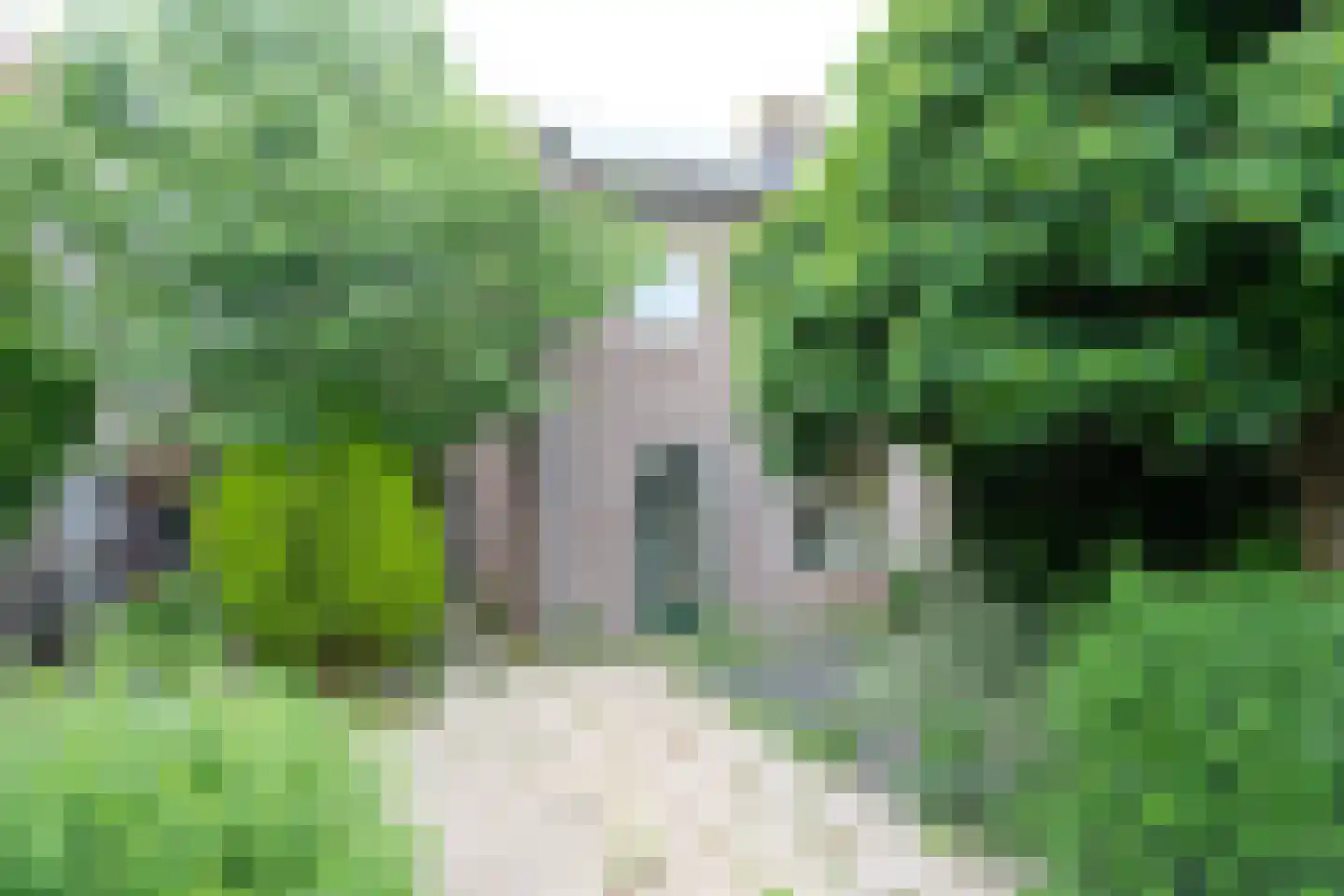 Nieuwe Steeg 6 in Herwijnen