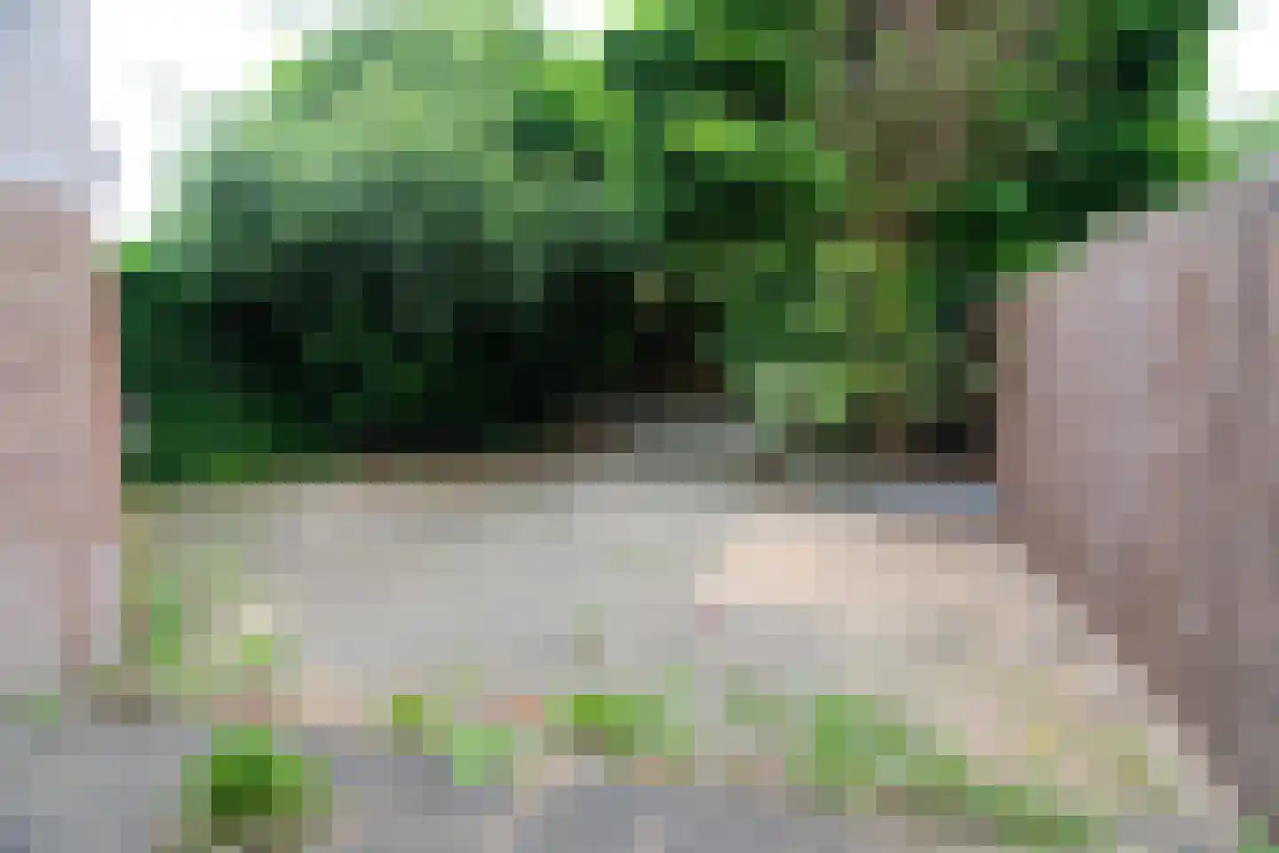 Nieuwe Steeg 6 Herwijnen thumbnail 12