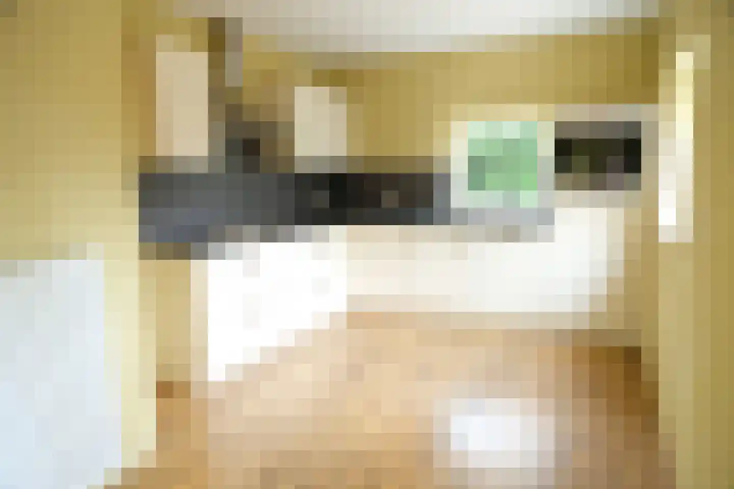 Nieuwe Steeg 6 Herwijnen thumbnail 4