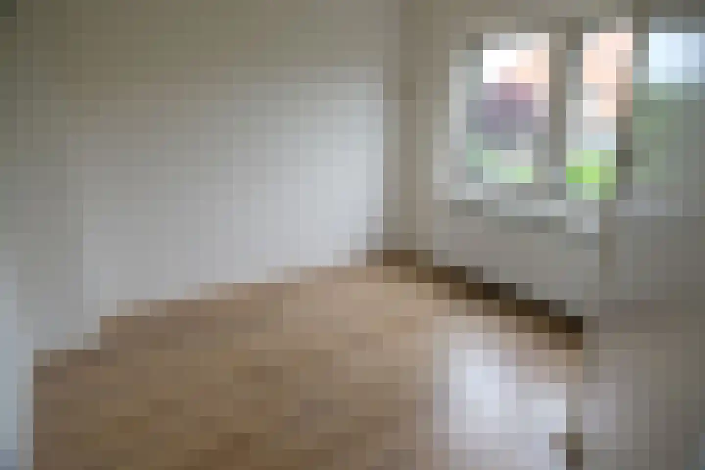 Nieuwe Steeg 6 Herwijnen thumbnail 8