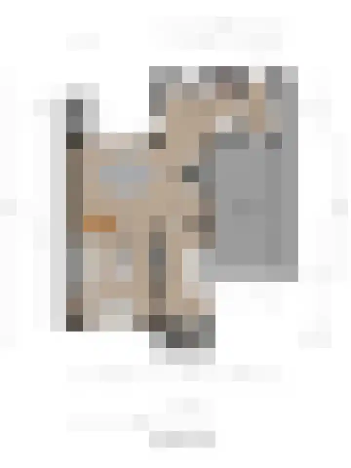 Nieuwe Steeg 75 Leersum thumbnail 22