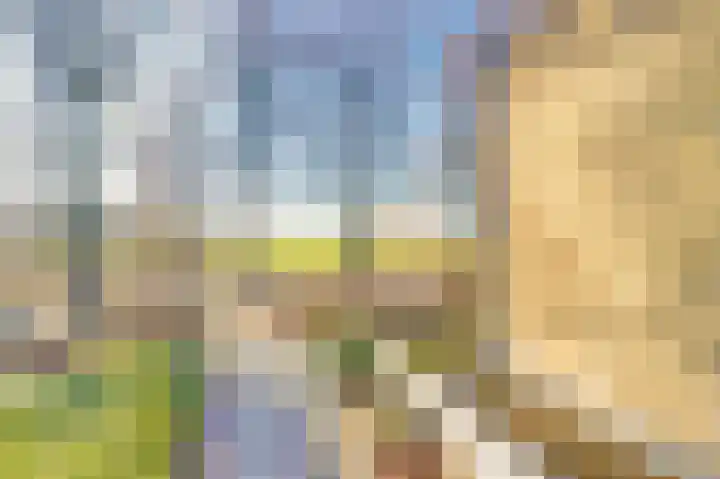 Nieuwe Steeg 75 Leersum thumbnail 28