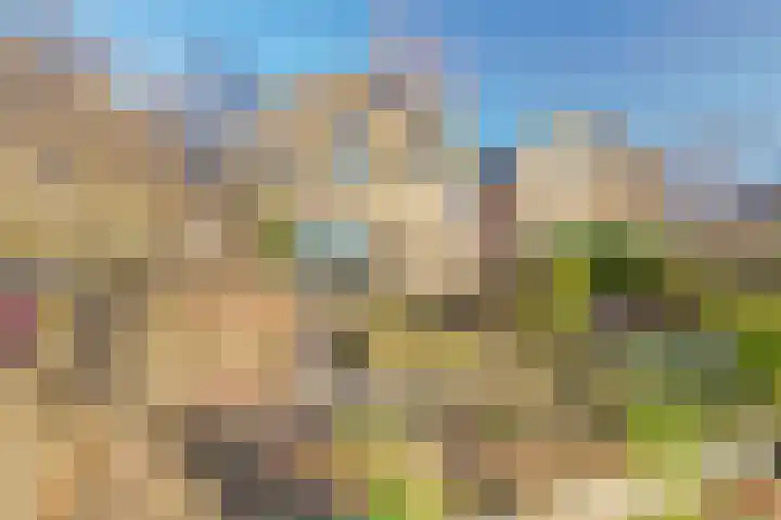 Nieuwe Steeg 75 Leersum thumbnail 40