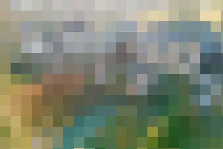 Nieuwe Steeg 75 Leersum thumbnail 43