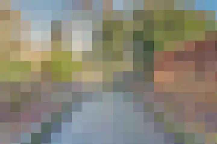 Nieuwe Steeg 75 Leersum thumbnail 46