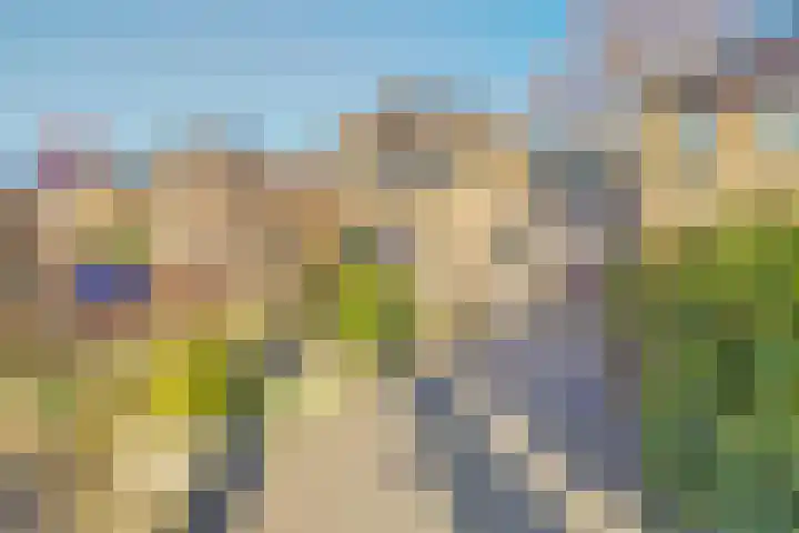 Nieuwe Steeg 75 Leersum thumbnail 50