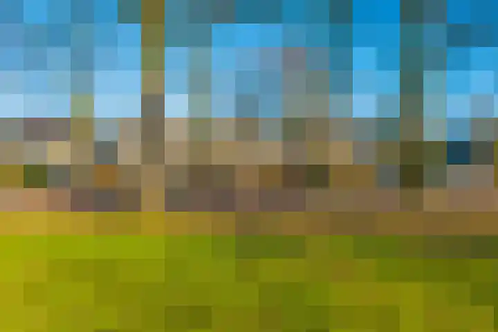 Nieuwe Steeg 75 Leersum thumbnail 52