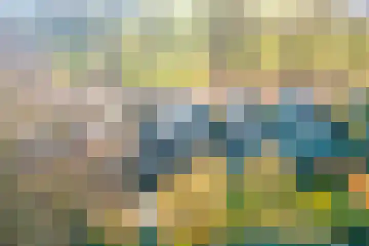 Nieuwe Steeg 75 Leersum thumbnail 53