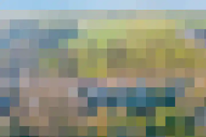 Nieuwe Steeg 75 Leersum thumbnail 54