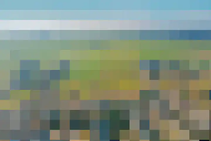 Nieuwe Steeg 75 Leersum thumbnail 56