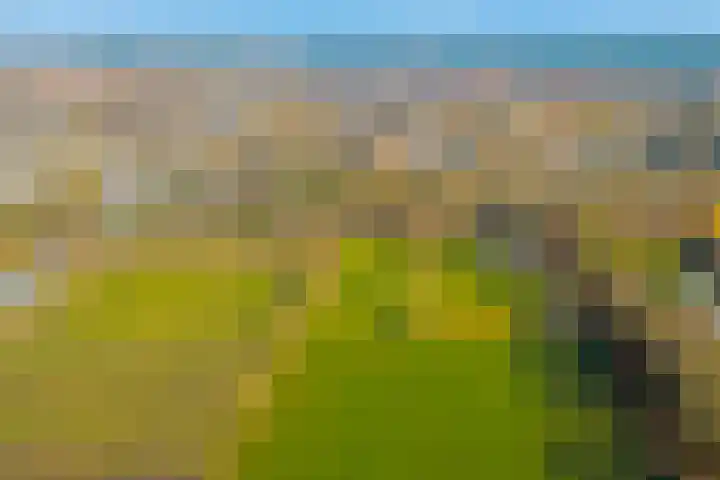 Nieuwe Steeg 75 Leersum thumbnail 57