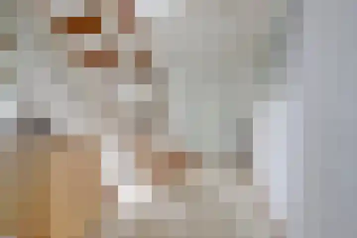 Nieuwe Steeg 75 Leersum thumbnail 8