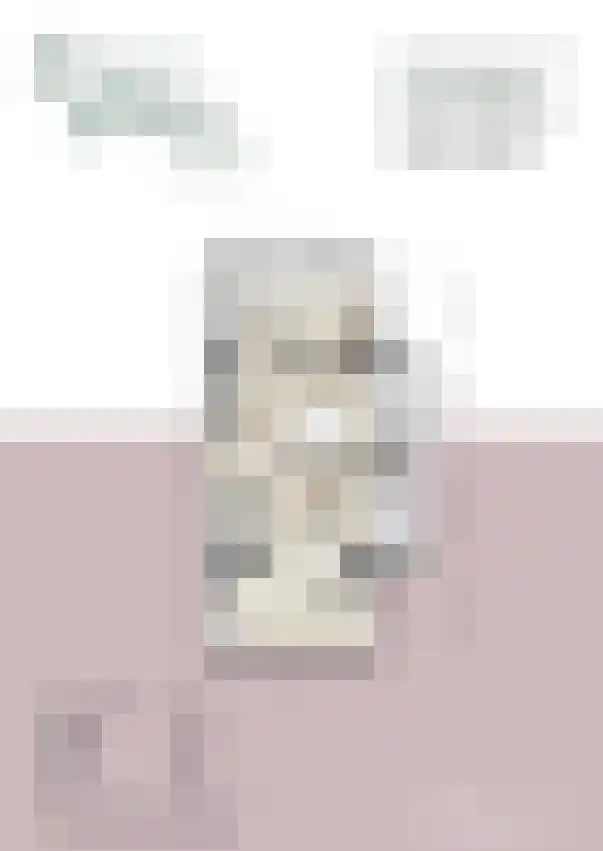 Nieuwe Steen 4 Hoorn thumbnail 7
