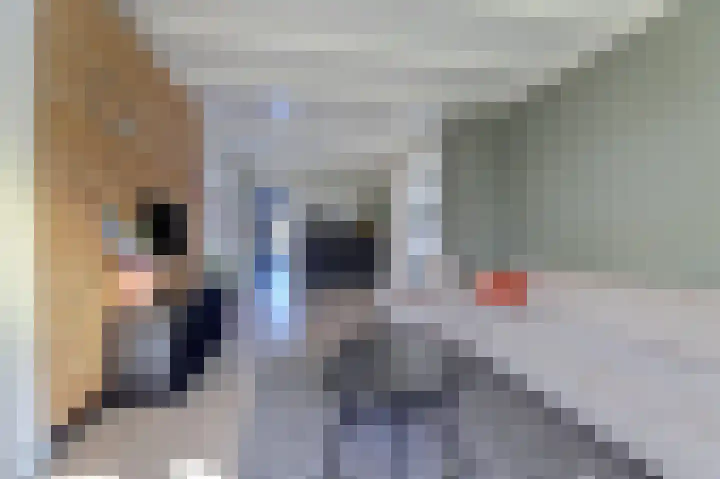 Nieuwe Straatweg 41 Gytsjerk thumbnail 14