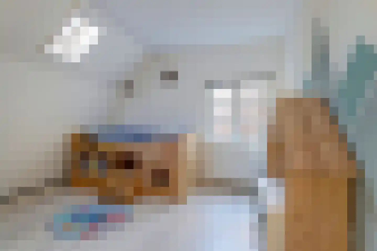 Nieuwe Straatweg 41 Gytsjerk thumbnail 31