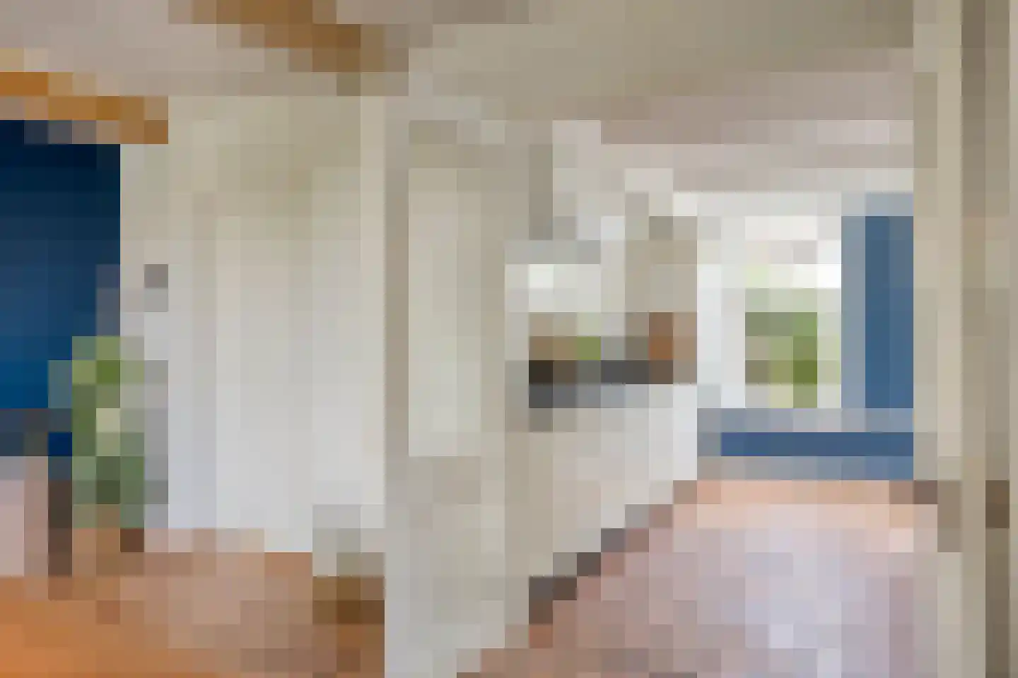 Nieuwe Streek 10 a Kolhorn thumbnail 19