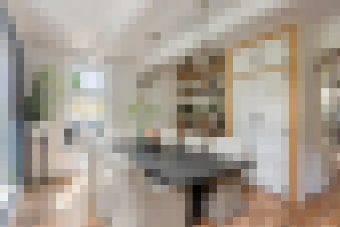Nieuwe Streek 10 a Kolhorn thumbnail 23