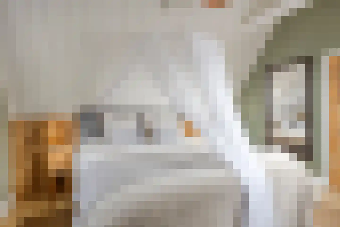 Nieuwe Streek 10 a Kolhorn thumbnail 36