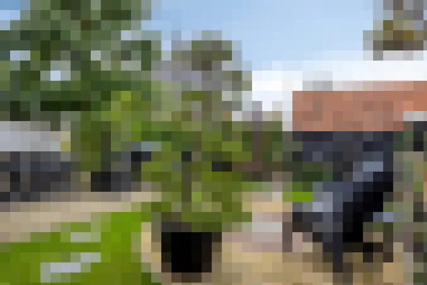 Nieuwe Streek 10 a Kolhorn thumbnail 47