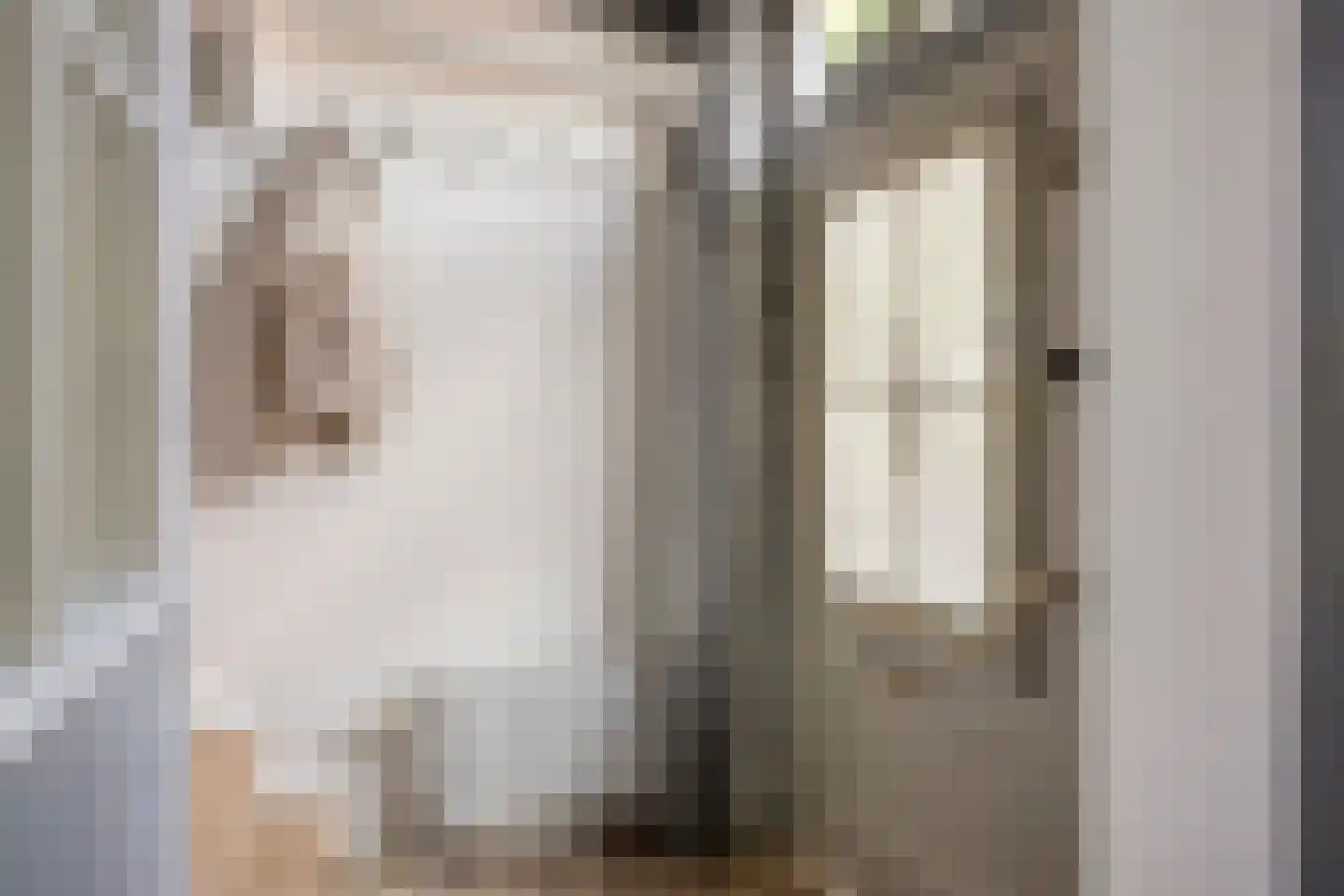 Nieuwe Streek 10 a Kolhorn thumbnail 8
