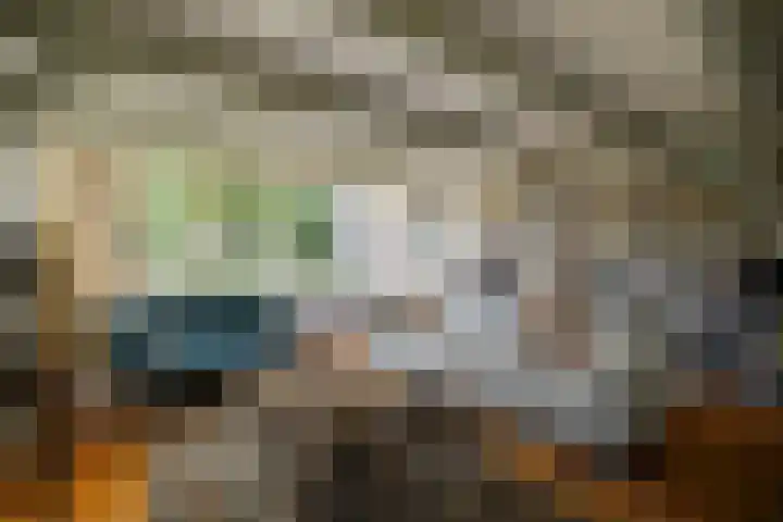Nieuwe Streek 58 Kolhorn thumbnail 10