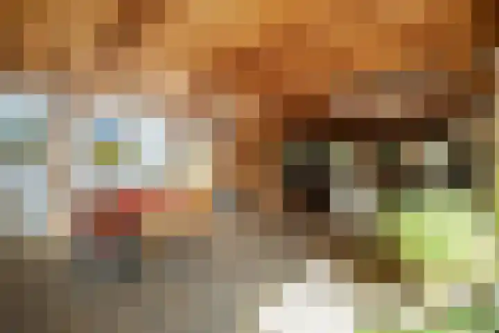 Nieuwe Streek 58 Kolhorn thumbnail 21