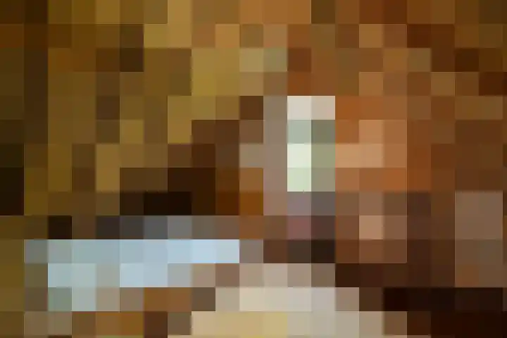 Nieuwe Streek 58 Kolhorn thumbnail 27