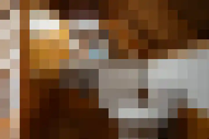 Nieuwe Streek 58 Kolhorn thumbnail 29