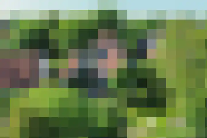 Nieuwe Streek 58 Kolhorn thumbnail 39