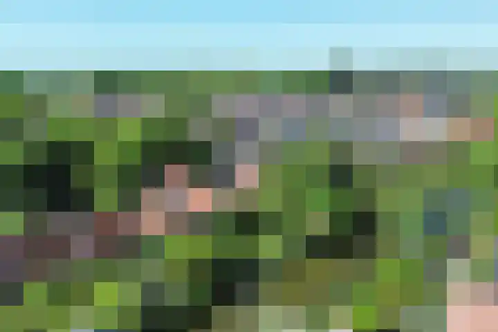 Nieuwe Streek 58 Kolhorn thumbnail 41
