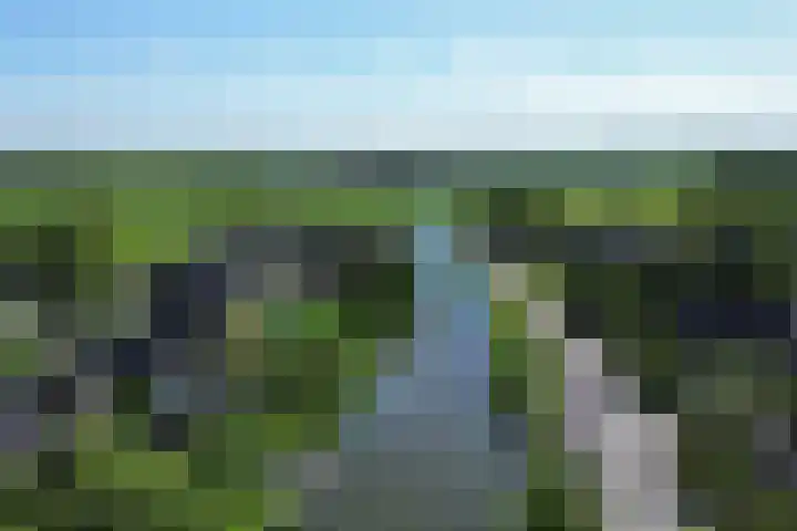 Nieuwe Streek 58 Kolhorn thumbnail 42
