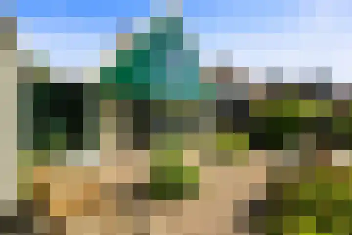 Nieuwe Streek 58 Kolhorn thumbnail 45