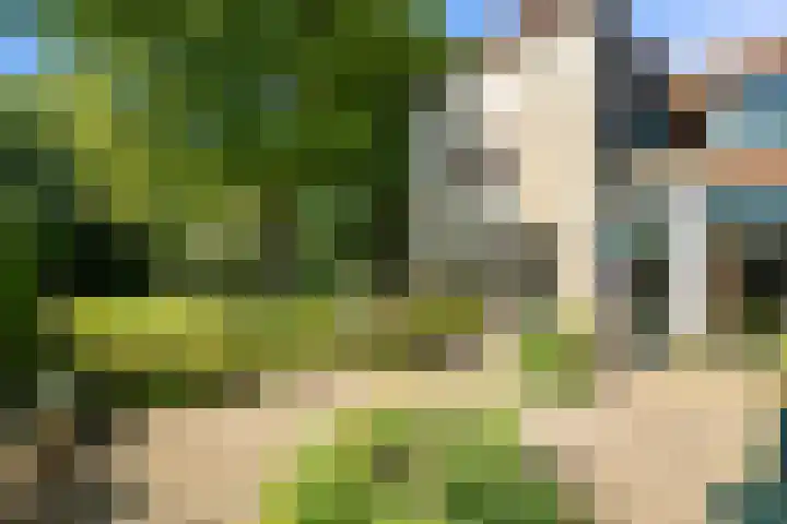 Nieuwe Streek 58 Kolhorn thumbnail 46