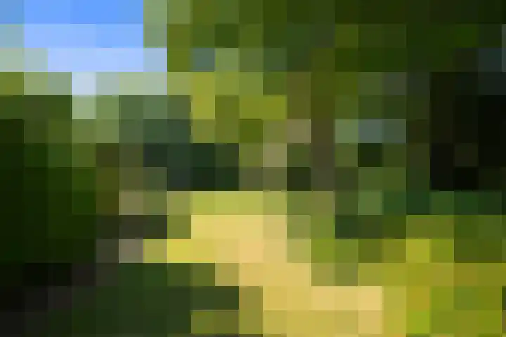 Nieuwe Streek 58 Kolhorn thumbnail 47
